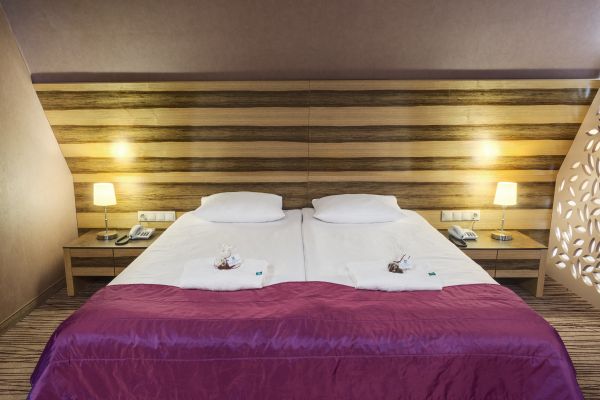Natura Residence Business & Spa (Siewierz)